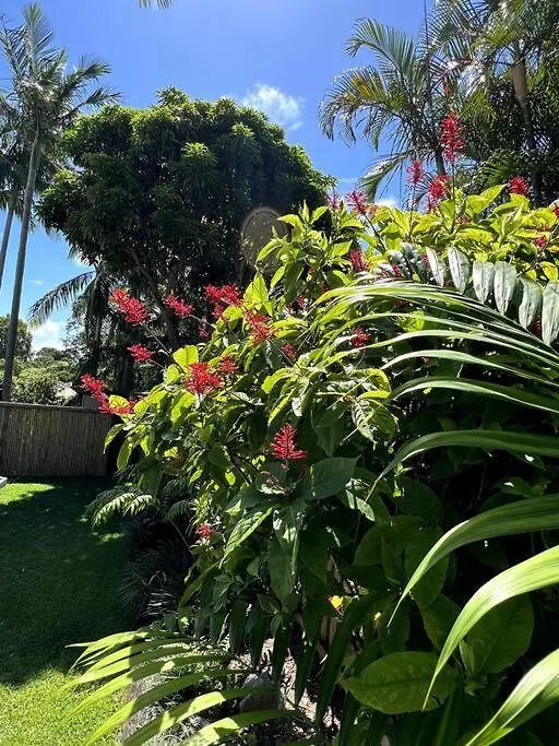 Beach Jungle - Hot Tub, Firepit & Pool In Beachside Oasis Byron Bay Holiday home