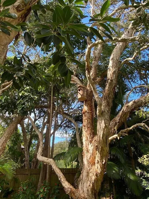 Beach Jungle - Hot Tub, Firepit & Pool In Beachside Oasis Byron Bay Australia